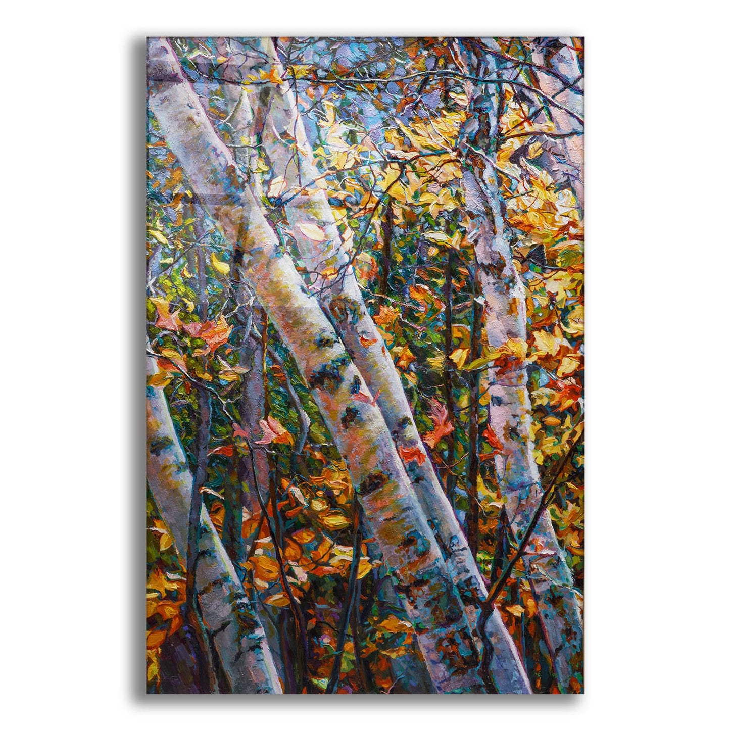 Epic Art 'Birches' by Joanne Towers, Acrylic Glass Wall Art