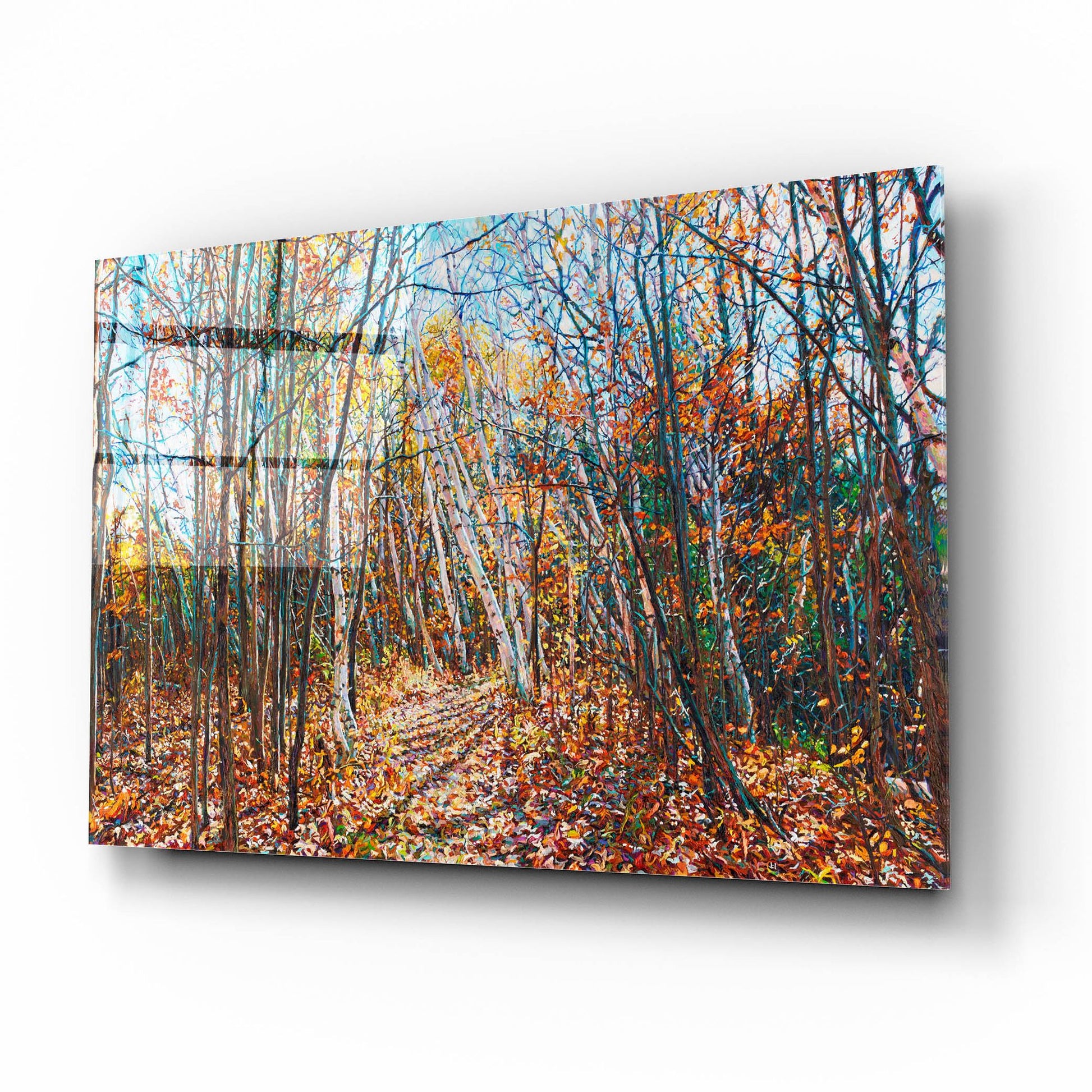 Epic Art 'Fall Forest Trail through the Birch' by Joanne Towers, Acrylic Glass Wall Art,16x12