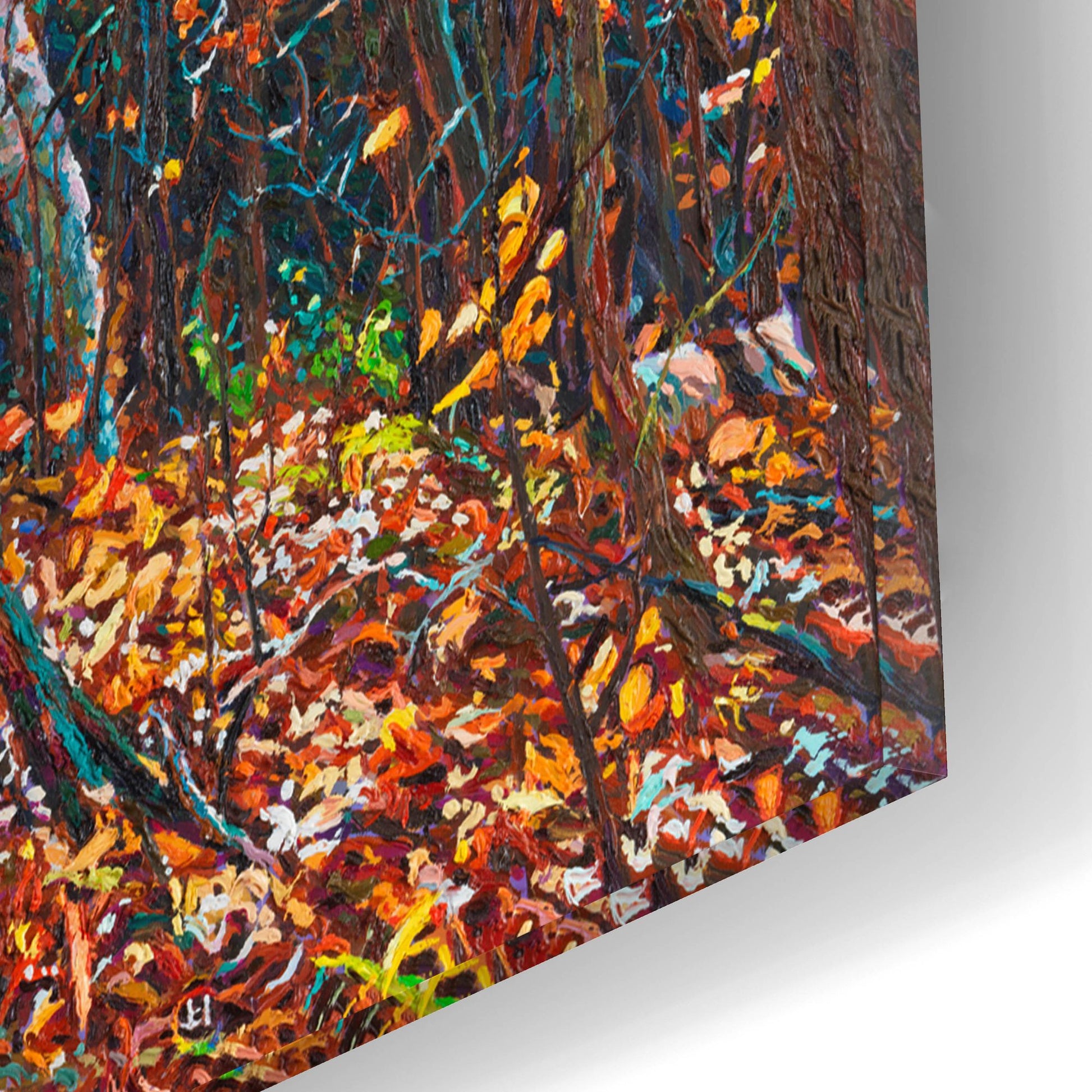 Epic Art 'Fall Forest Trail through the Birch' by Joanne Towers, Acrylic Glass Wall Art,16x12