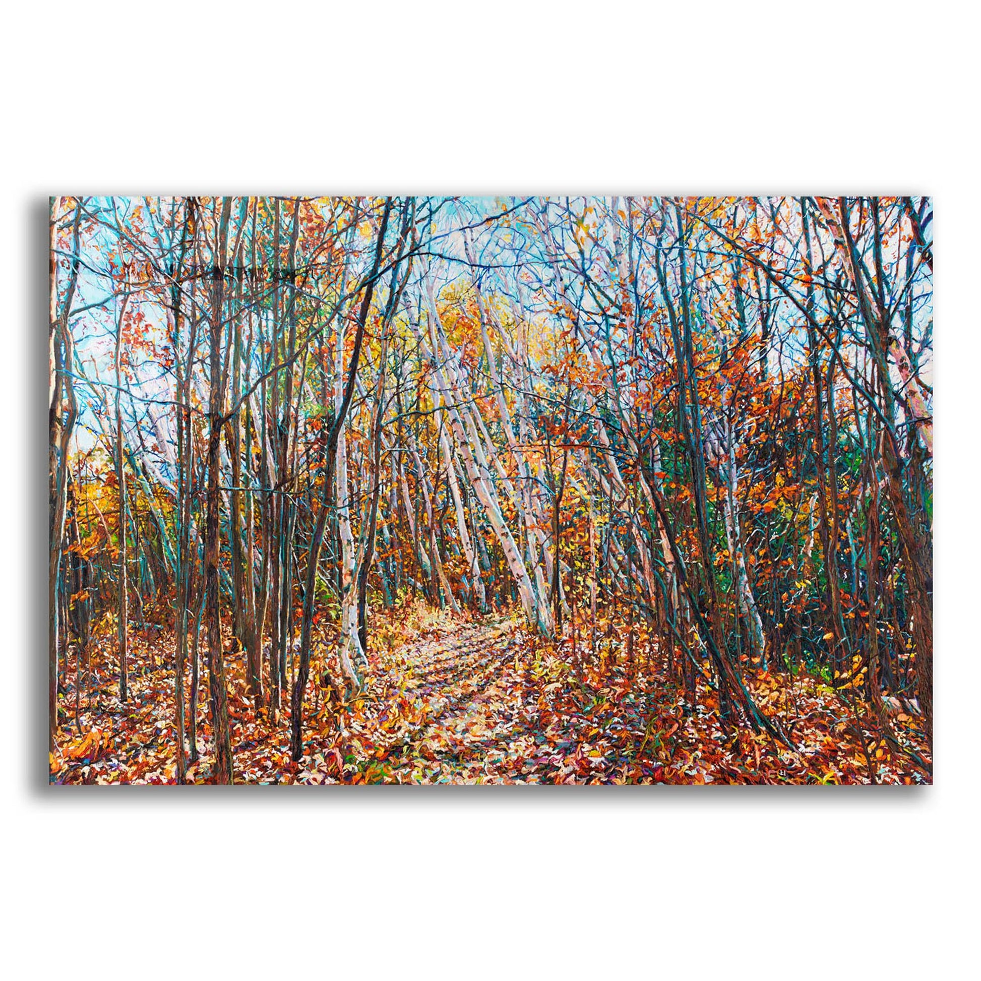 Epic Art 'Fall Forest Trail through the Birch' by Joanne Towers, Acrylic Glass Wall Art,24x16