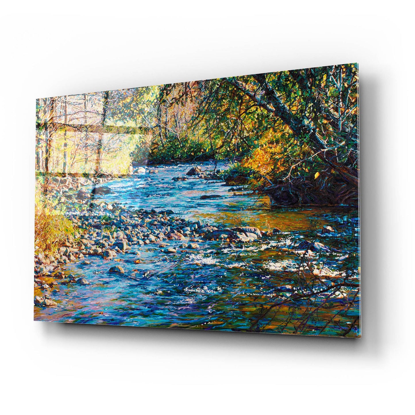 Epic Art 'River Lace' by Joanne Towers, Acrylic Glass Wall Art,24x16