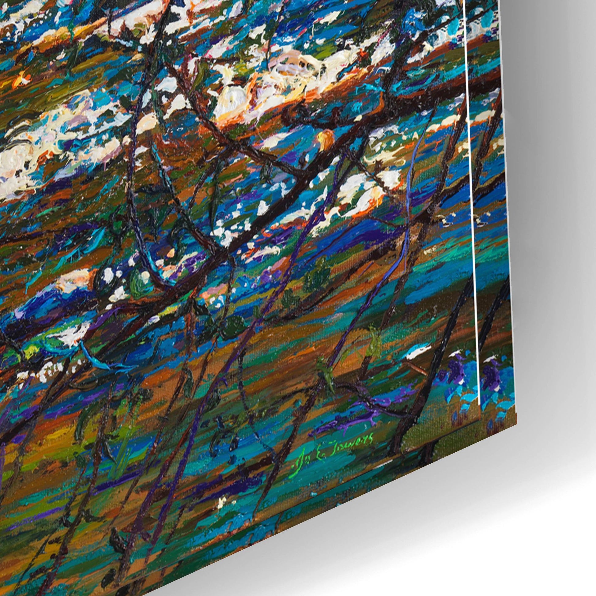 Epic Art 'River Lace' by Joanne Towers, Acrylic Glass Wall Art,24x16