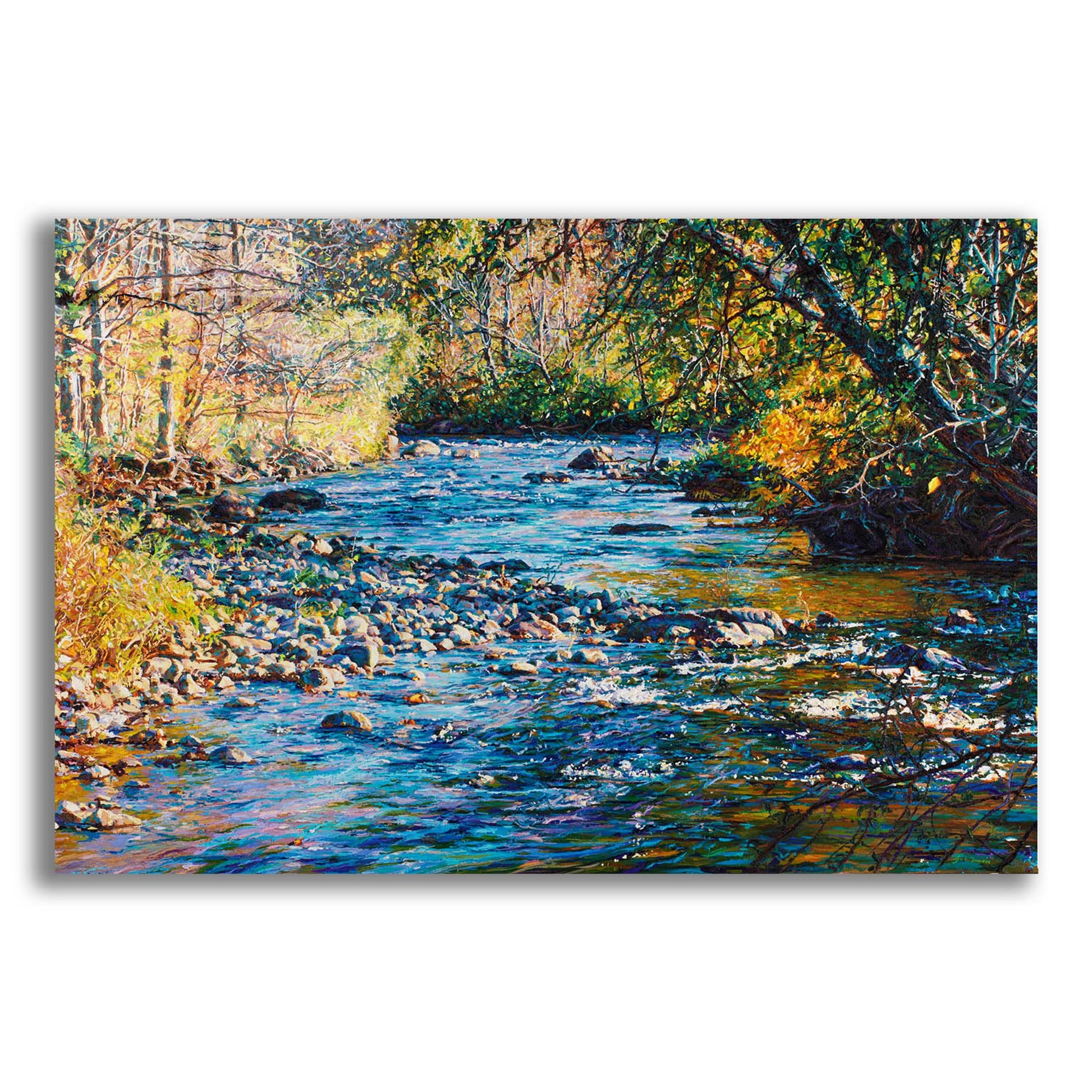 Epic Art 'River Lace' by Joanne Towers, Acrylic Glass Wall Art,24x16