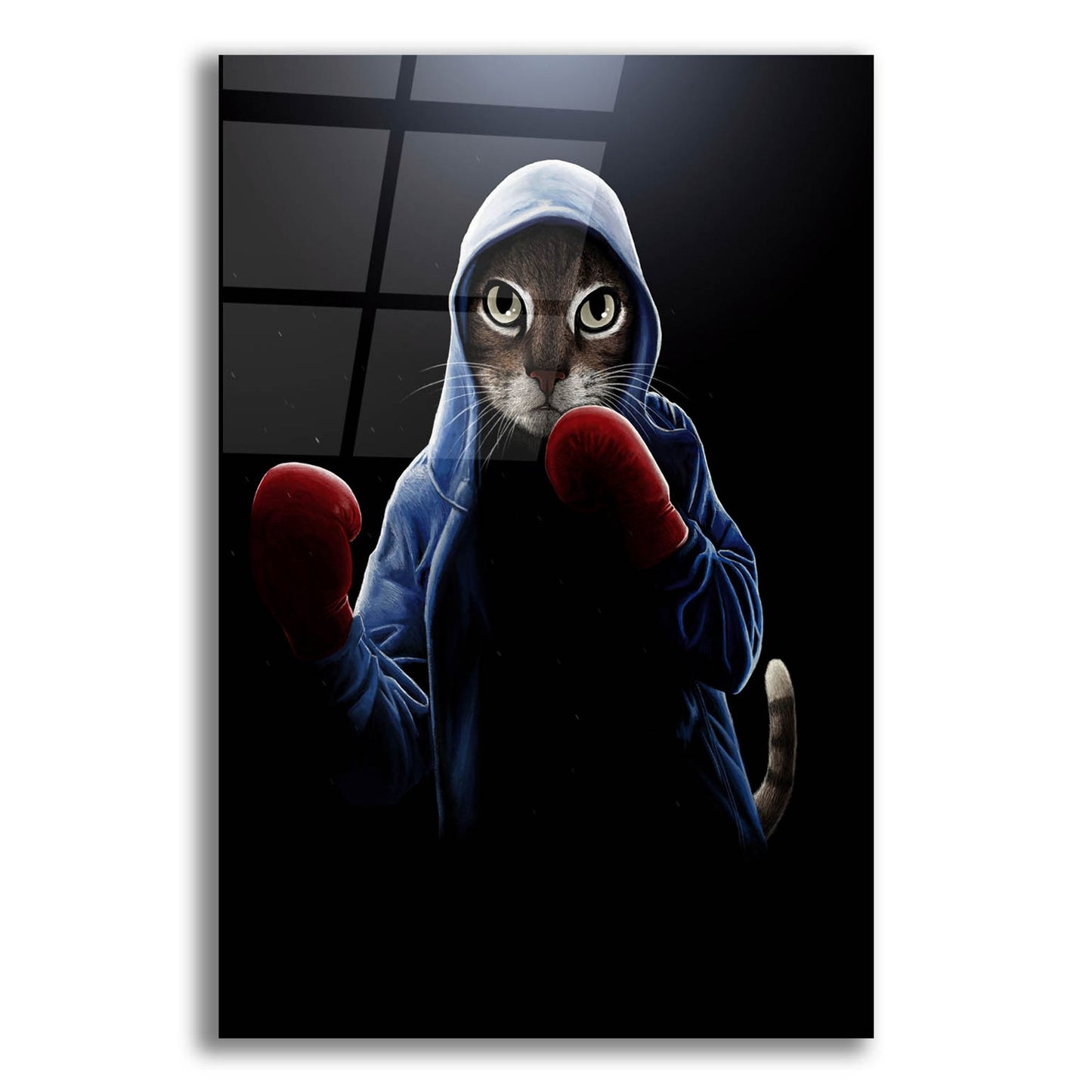 Epic Art 'Boxing Cool Cat' by Tummeow, Acrylic Glass Wall Art