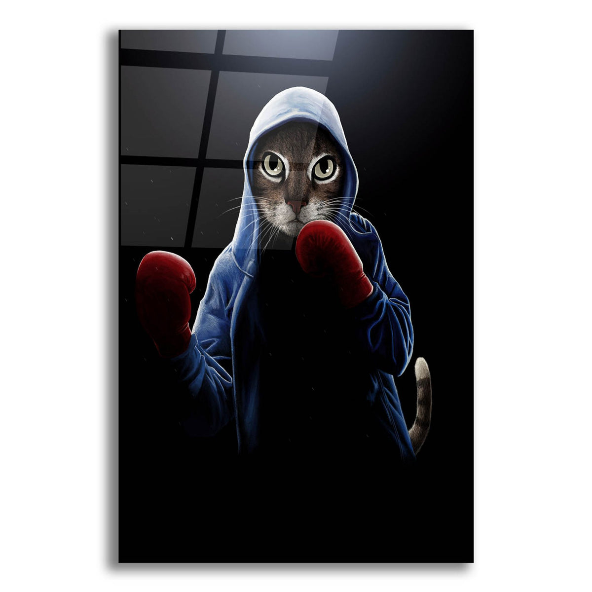 Epic Art 'Boxing Cool Cat' by Tummeow, Acrylic Glass Wall Art