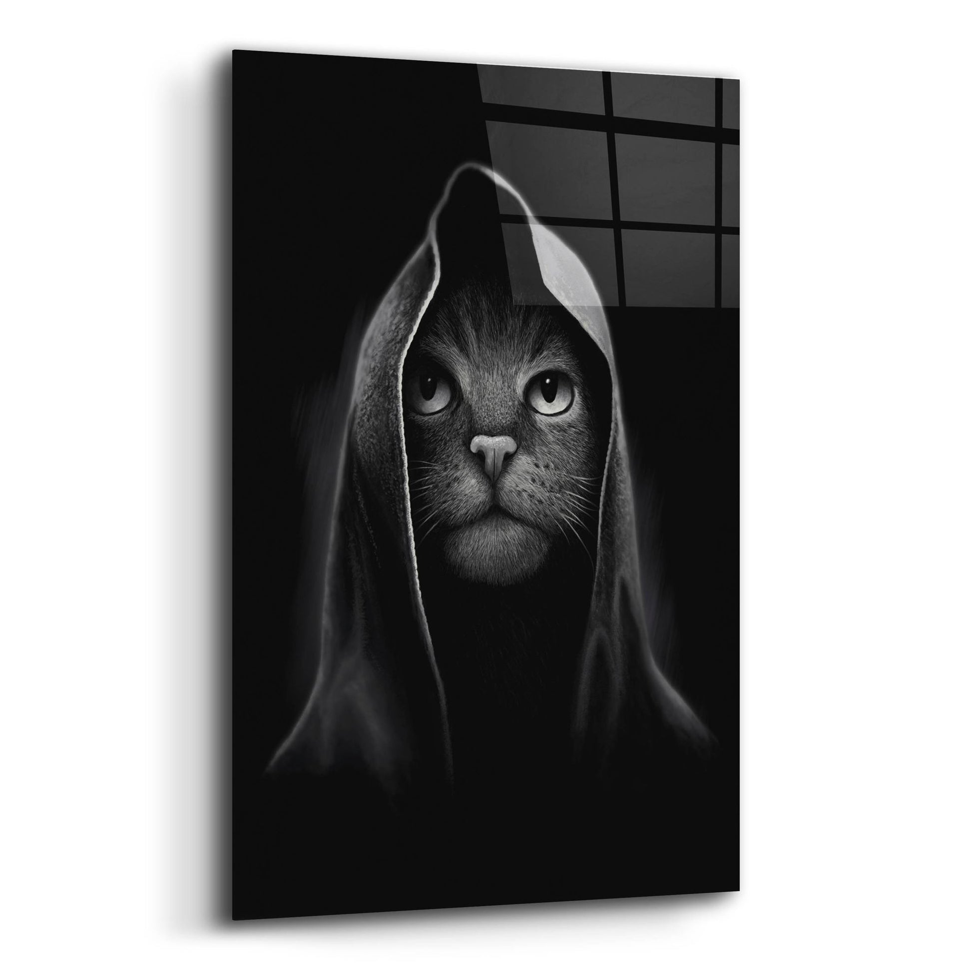 Epic Art 'Cat Portrait' by Tummeow, Acrylic Glass Wall Art,12x16