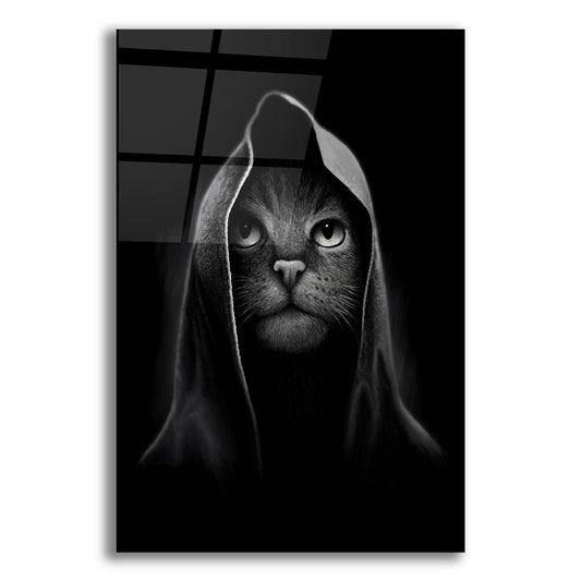 Epic Art 'Cat Portrait' by Tummeow, Acrylic Glass Wall Art