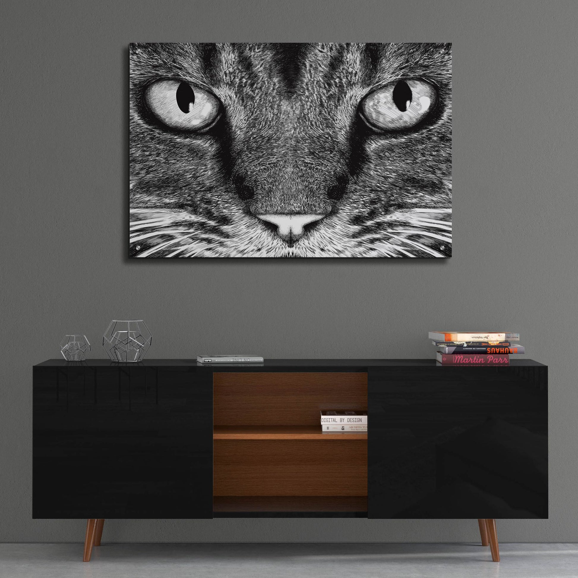 Epic Art 'The Cat' by Tummeow, Acrylic Glass Wall Art,36x24