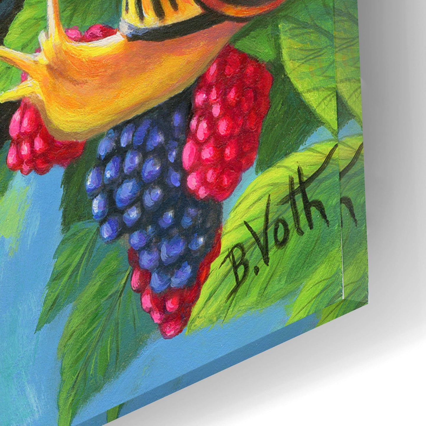 Epic Art 'Berry Happy' by Bridget Voth, Acrylic Glass Wall Art,12x16