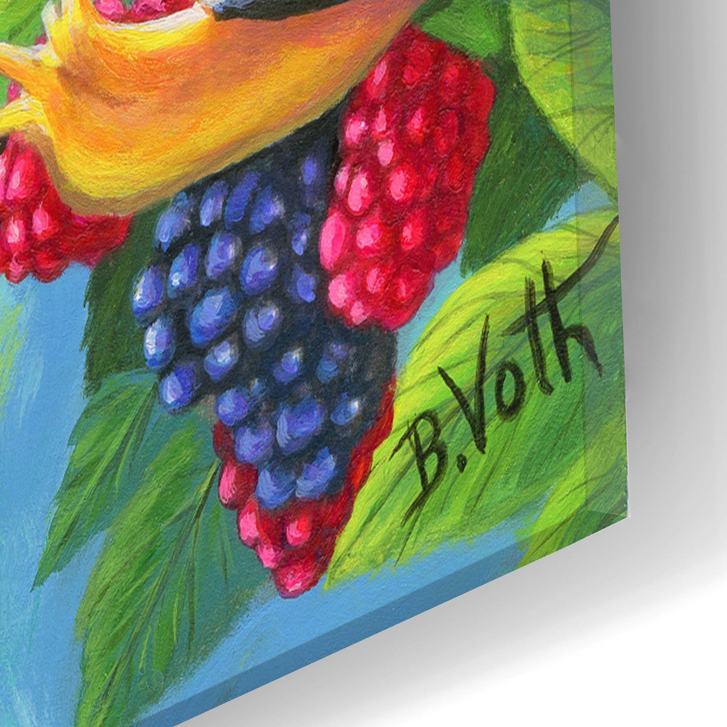 Epic Art 'Berry Happy' by Bridget Voth, Acrylic Glass Wall Art,16x24