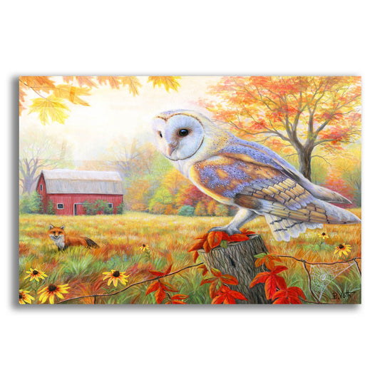 Epic Art 'Morning At The Old Farm' by Bridget Voth, Acrylic Glass Wall Art