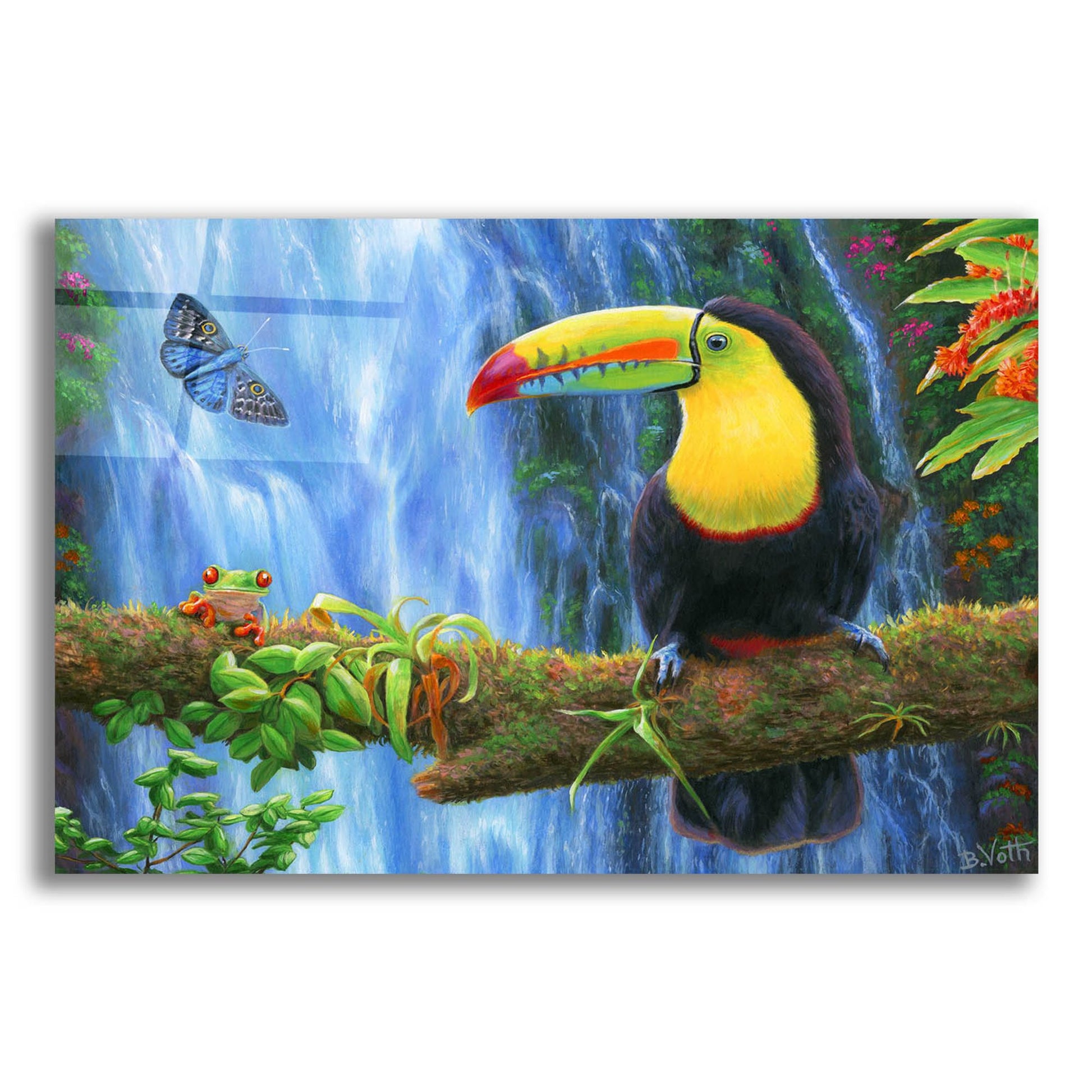 Epic Art 'Rain Forest Summer' by Bridget Voth, Acrylic Glass Wall Art,24x16