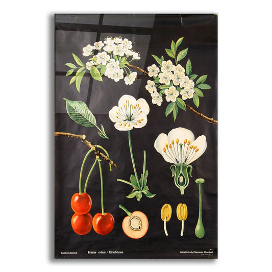 Epic Art 'Eat Veggies' by Vintage Posters, Acrylic Glass Wall Art