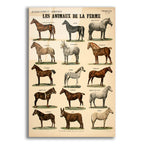 Epic Art 'Animaux de La Ferme' by Vintage Posters, Acrylic Glass Wall Art