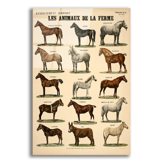 Epic Art 'Animaux de La Ferme' by Vintage Posters, Acrylic Glass Wall Art