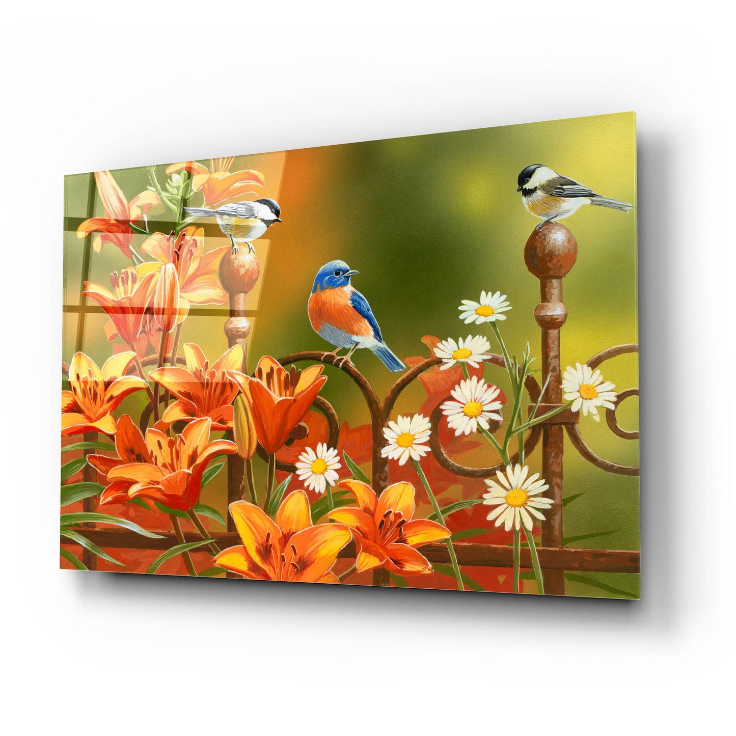 Epic Art 'Rusty Fence and Lilies' by William Vanderdasson, Acrylic Glass Wall Art,24x16