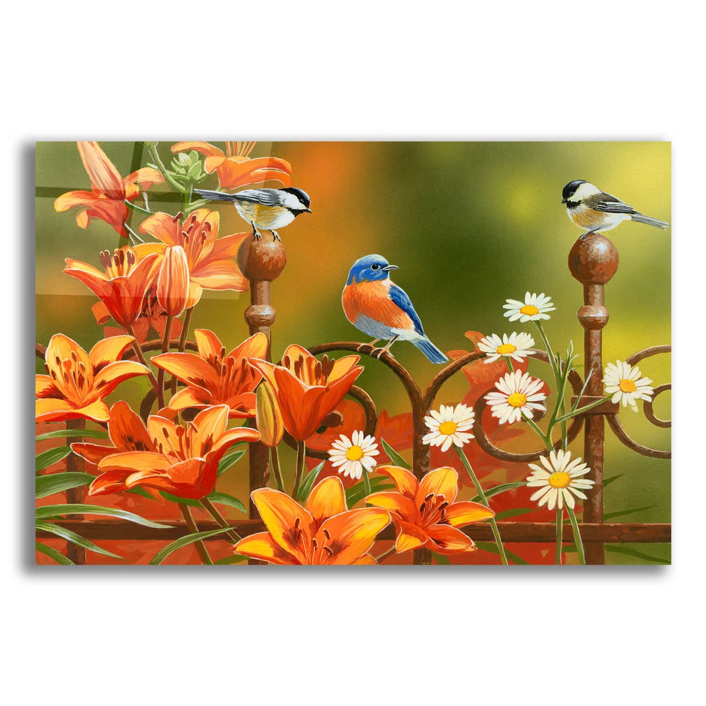 Epic Art 'Rusty Fence and Lilies' by William Vanderdasson, Acrylic Glass Wall Art,24x16