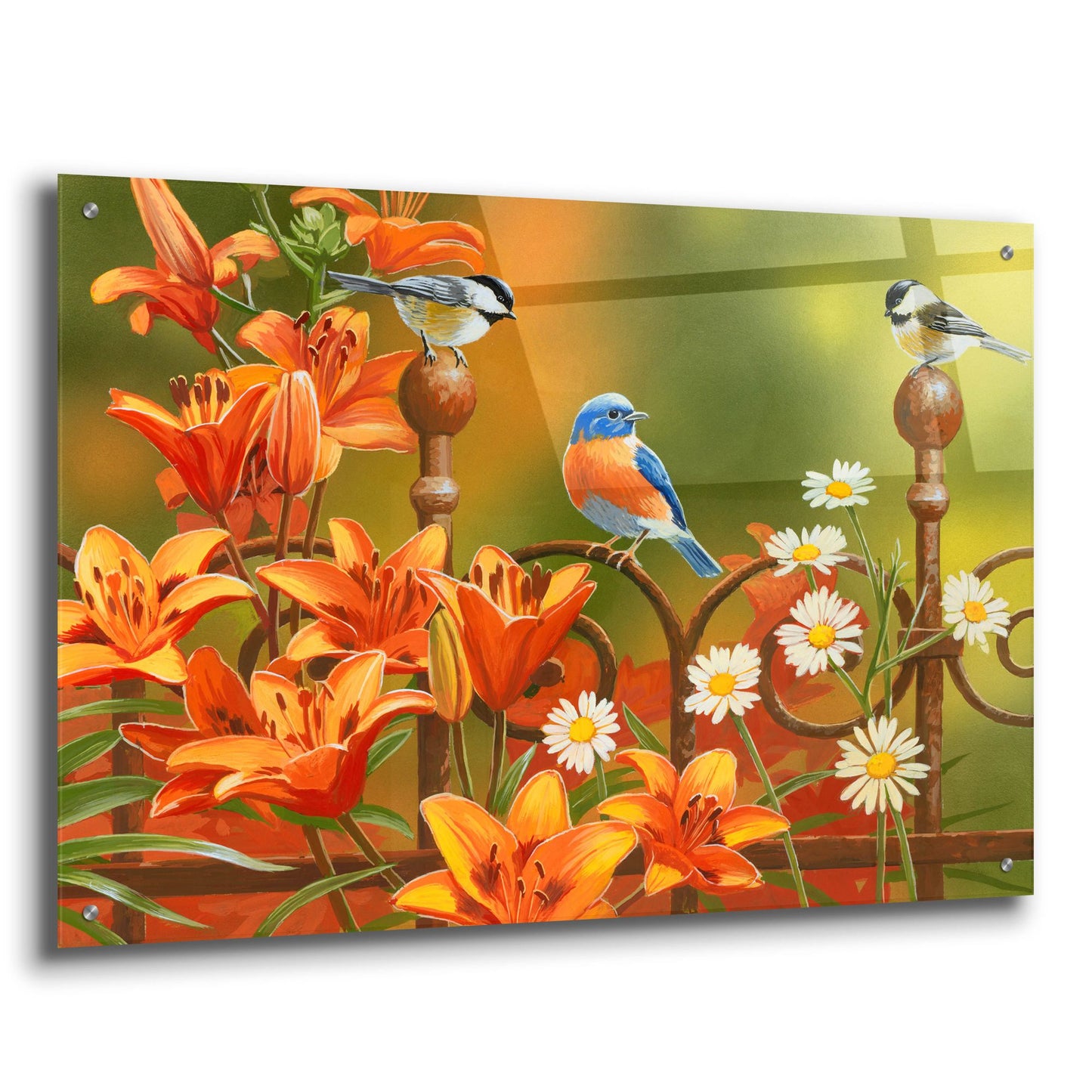 Epic Art 'Rusty Fence and Lilies' by William Vanderdasson, Acrylic Glass Wall Art,36x24