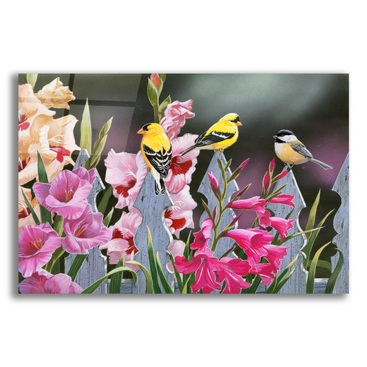 Epic Art 'Feathered Friends and Gladiolus' by William Vanderdasson, Acrylic Glass Wall Art