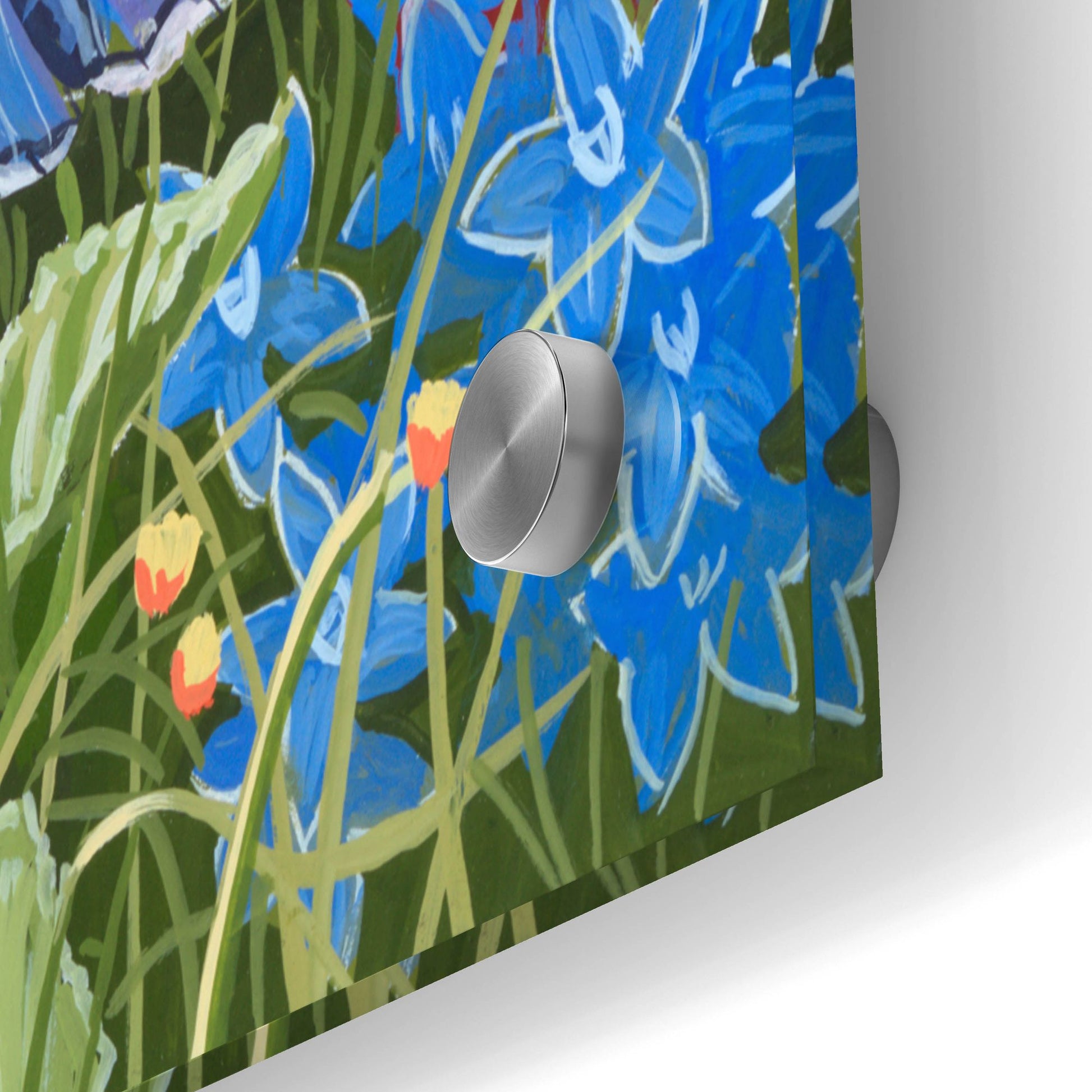 Epic Art 'Hummingbird Garden' by William Vanderdasson, Acrylic Glass Wall Art,36x24