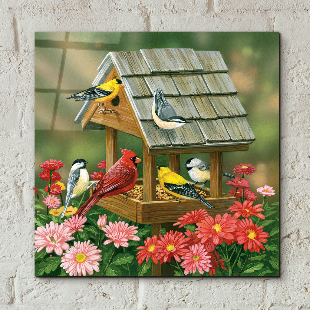 Epic Art 'Backyard Birds Fall Feast' by William Vanderdasson, Acrylic Glass Wall Art,12x12
