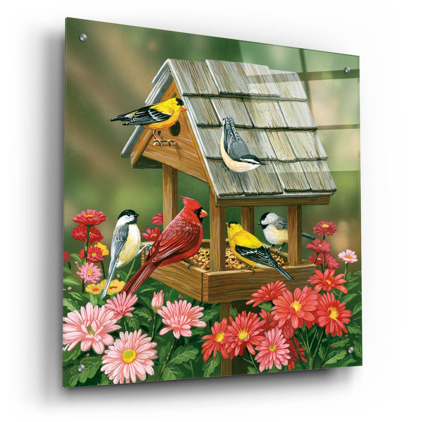 Epic Art 'Backyard Birds Fall Feast' by William Vanderdasson, Acrylic Glass Wall Art,24x24