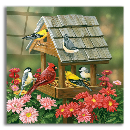 Epic Art 'Backyard Birds Fall Feast' by William Vanderdasson, Acrylic Glass Wall Art