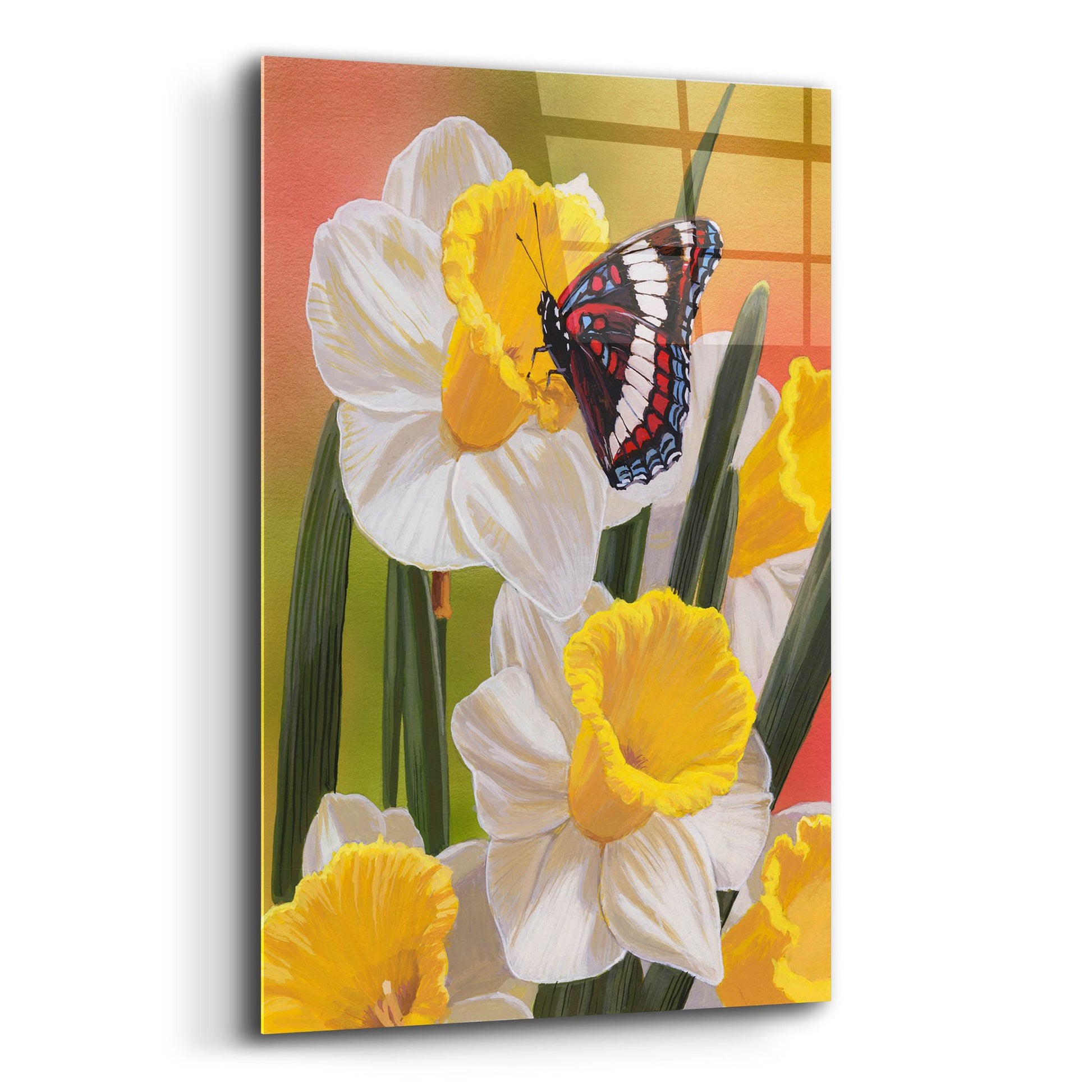 Epic Art 'Daffodils & Butterfly' by William Vanderdasson, Acrylic Glass Wall Art,12x16
