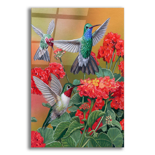 Epic Art 'Hummingbirds & Flowers' by William Vanderdasson, Acrylic Glass Wall Art