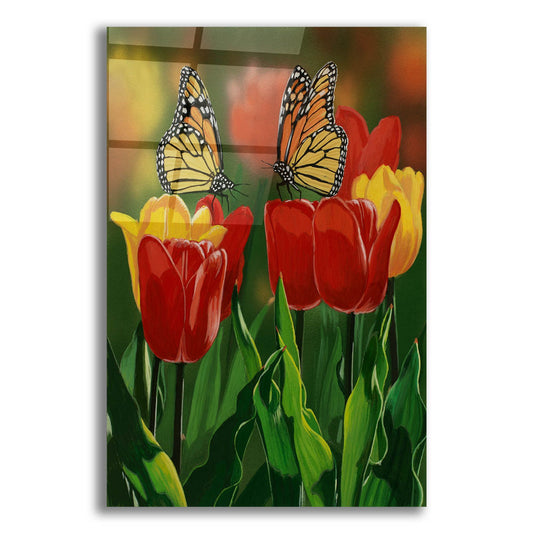 Epic Art 'Monarchs And Tulips' by William Vanderdasson, Acrylic Glass Wall Art