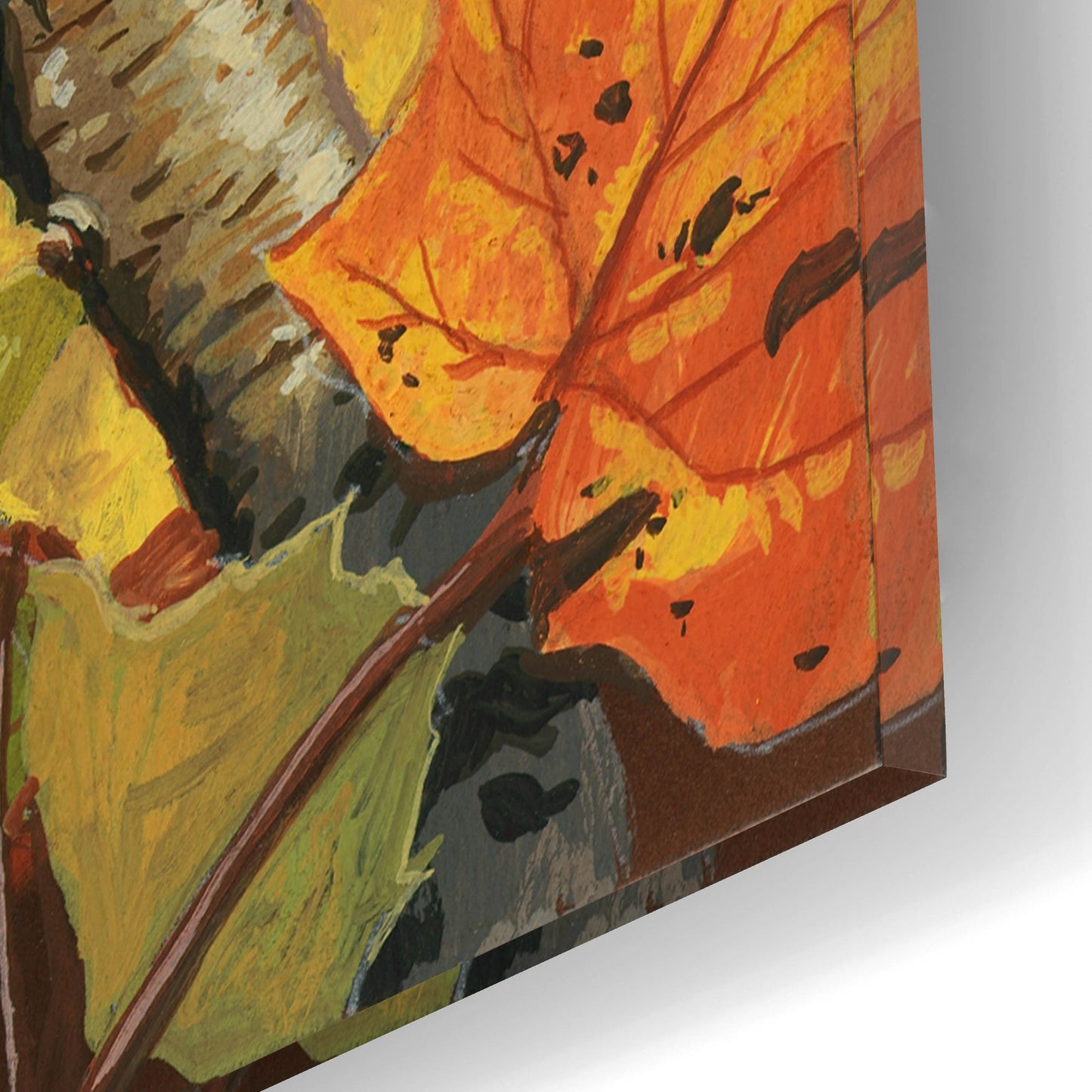 Epic Art 'Fall Colors' by William Vanderdasson, Acrylic Glass Wall Art,12x16