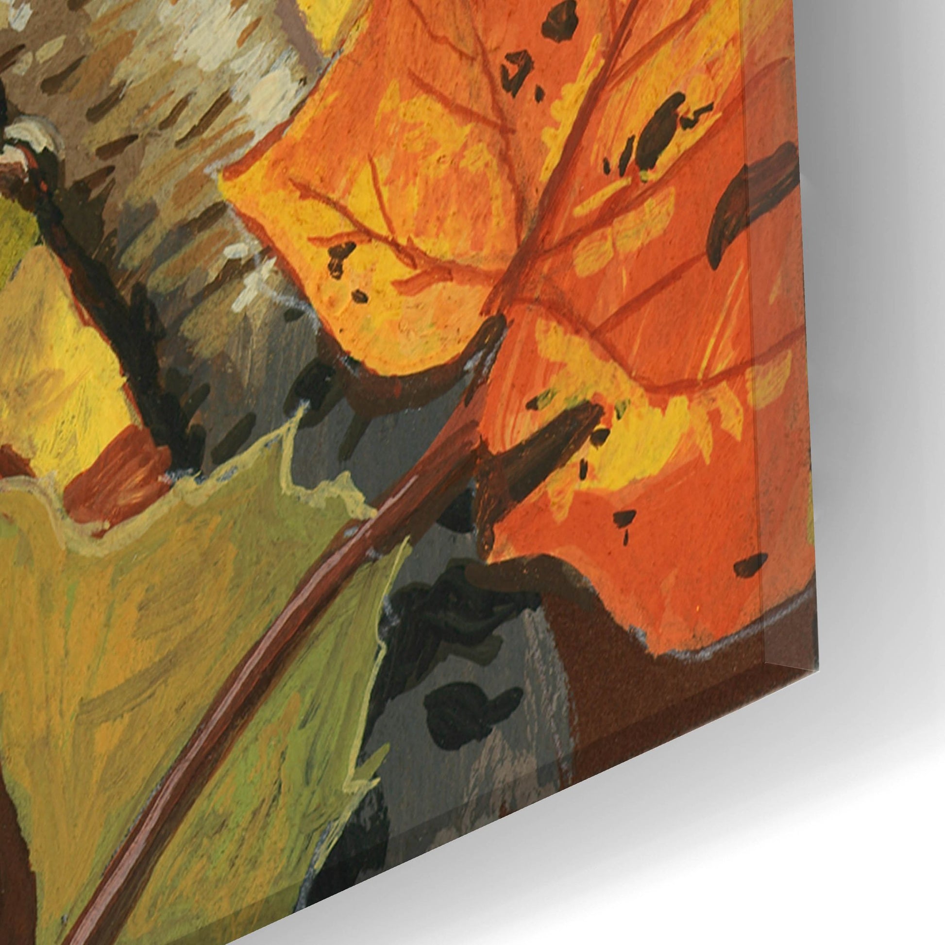 Epic Art 'Fall Colors' by William Vanderdasson, Acrylic Glass Wall Art,16x24