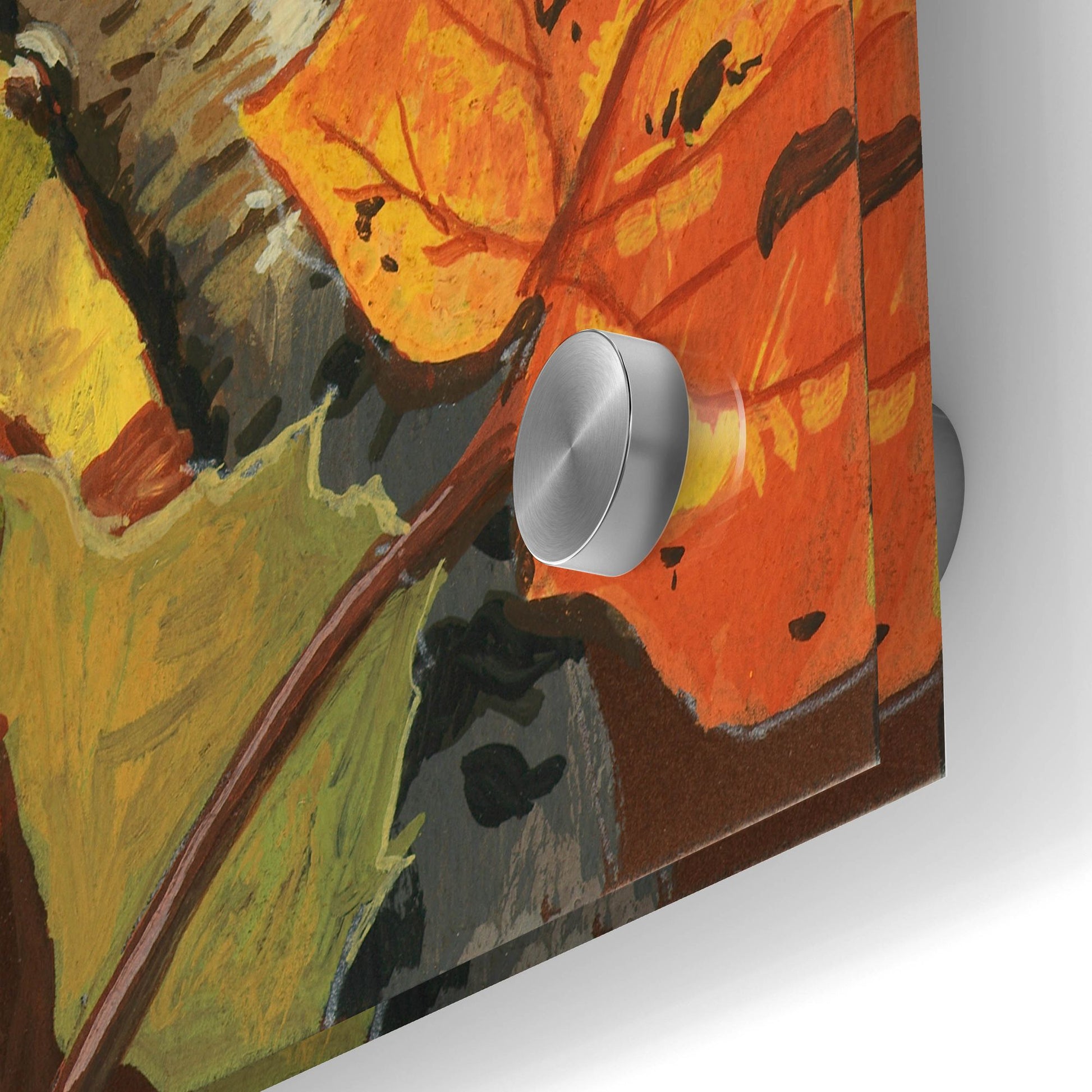 Epic Art 'Fall Colors' by William Vanderdasson, Acrylic Glass Wall Art,24x36