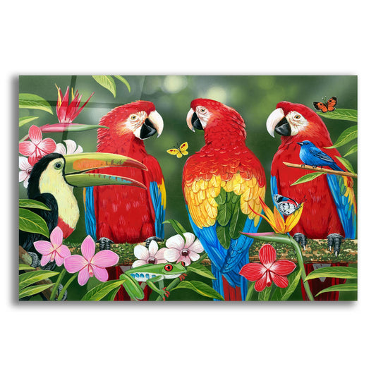 Epic Art 'Tropical Friends' by William Vanderdasson, Acrylic Glass Wall Art