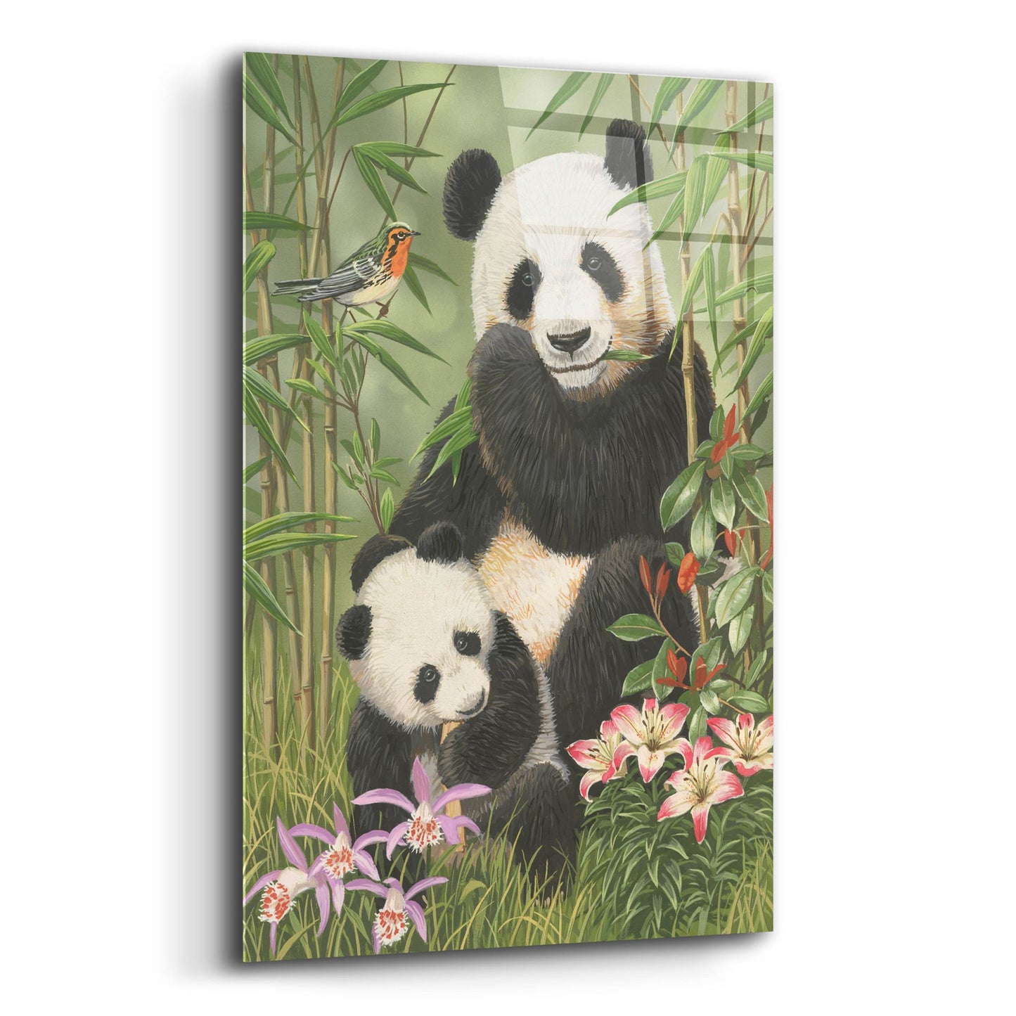 Epic Art 'Panda Paradise' by William Vanderdasson, Acrylic Glass Wall Art,12x16