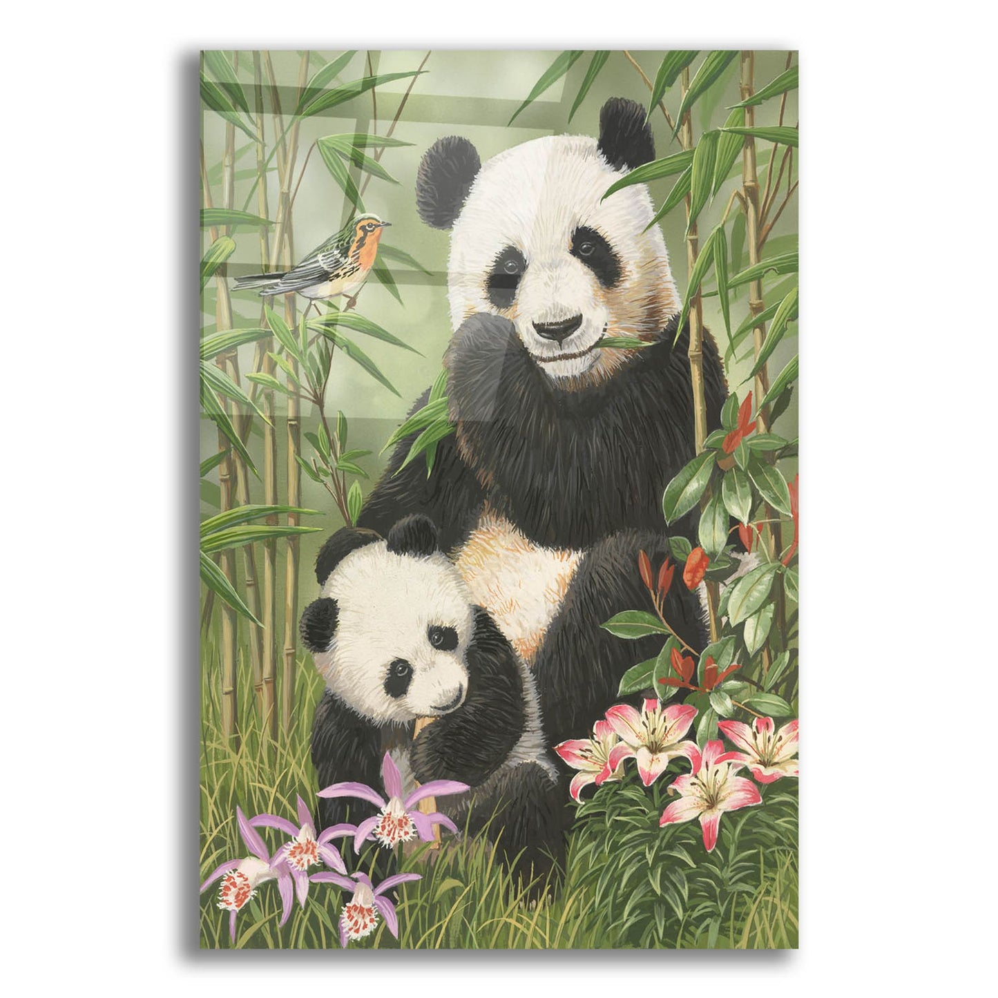 Epic Art 'Panda Paradise' by William Vanderdasson, Acrylic Glass Wall Art