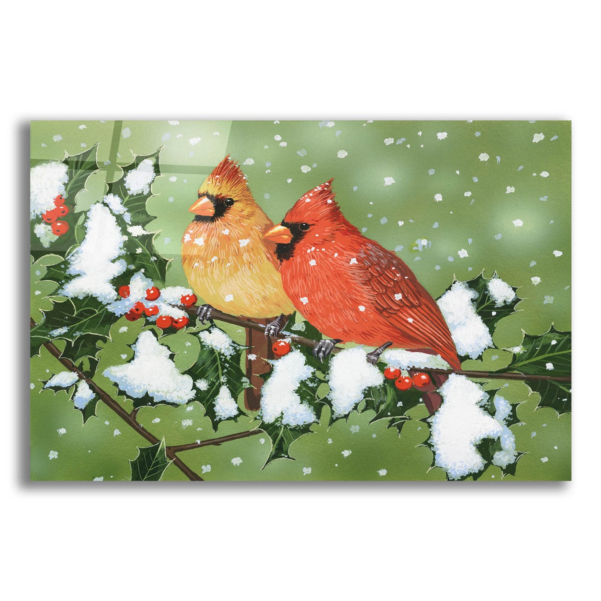 Epic Art 'Wintery Cardinals' by William Vanderdasson, Acrylic Glass Wall Art,24x16