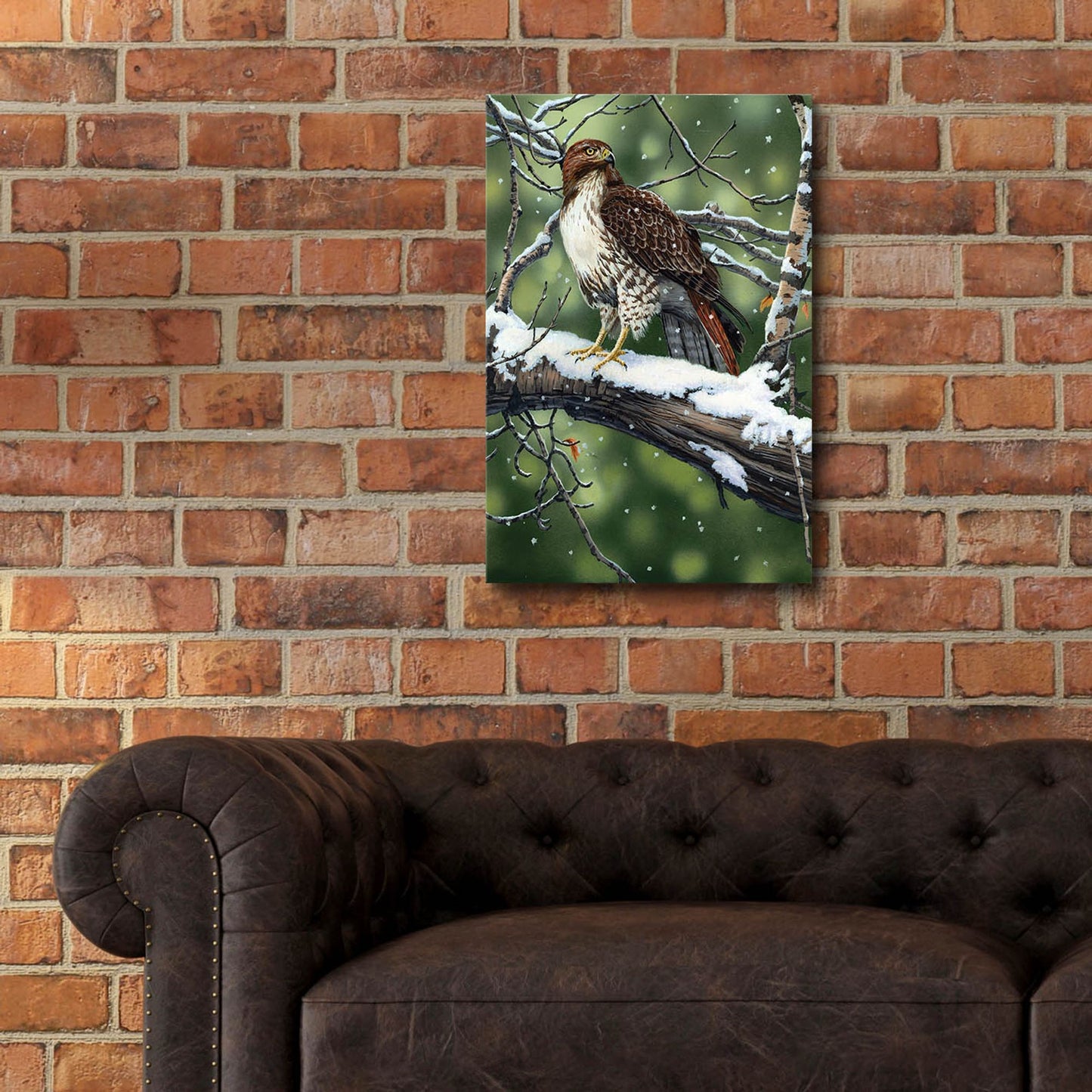 Epic Art 'Red Tailed Hawk' by William Vanderdasson, Acrylic Glass Wall Art,16x24