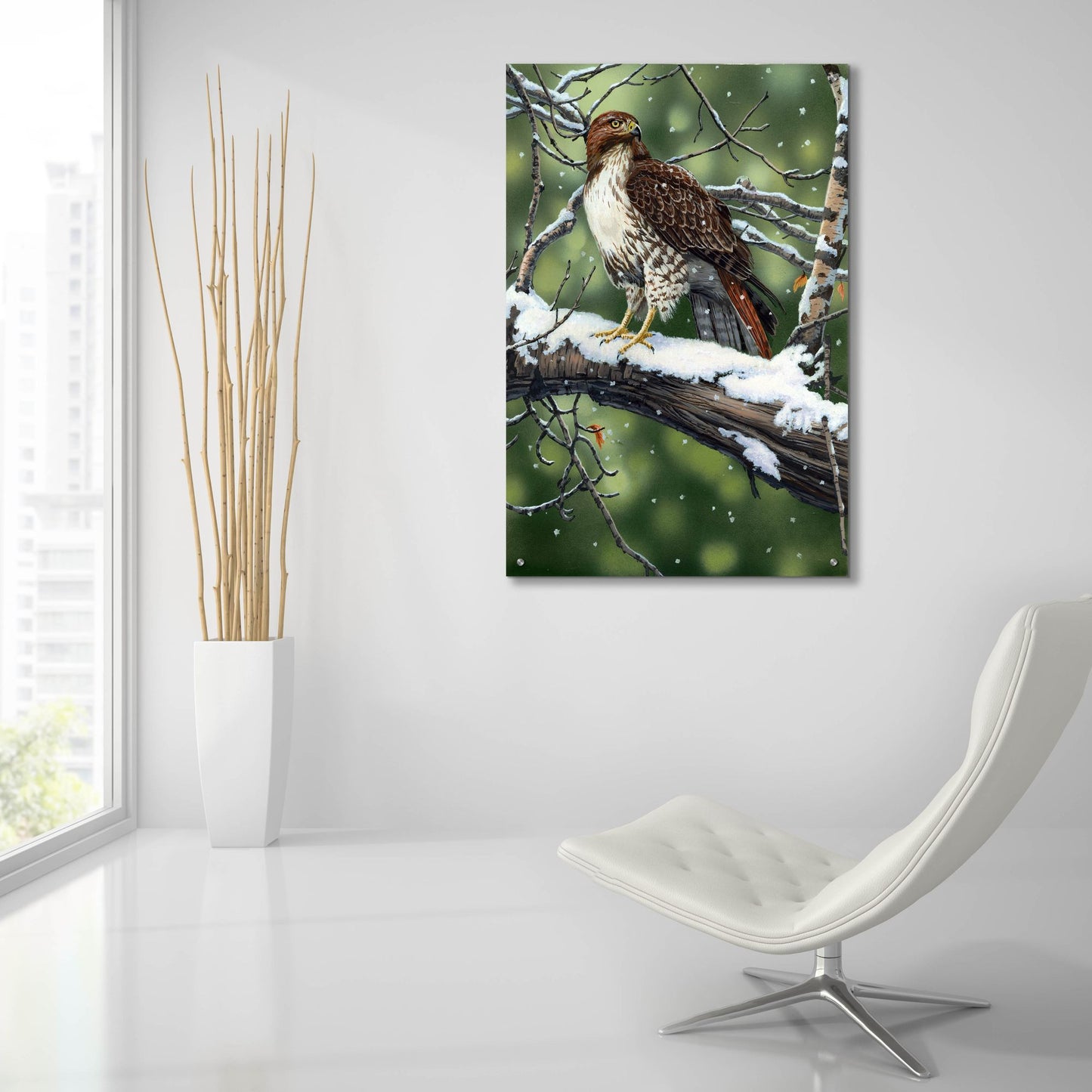 Epic Art 'Red Tailed Hawk' by William Vanderdasson, Acrylic Glass Wall Art,24x36