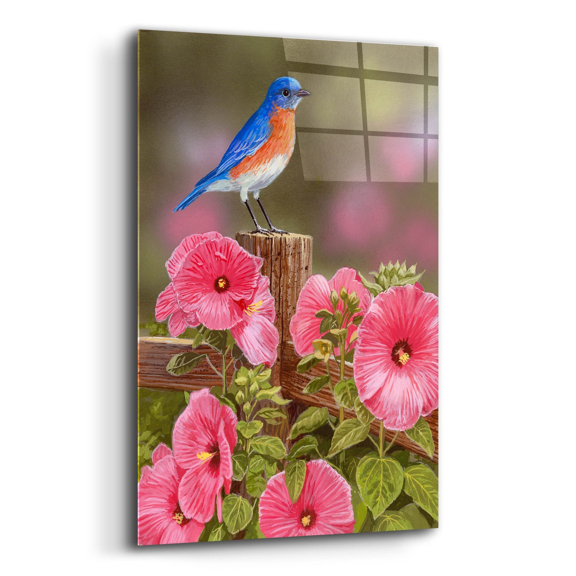 Epic Art 'Bluebird With Hibiscus' by William Vanderdasson, Acrylic Glass Wall Art,12x16