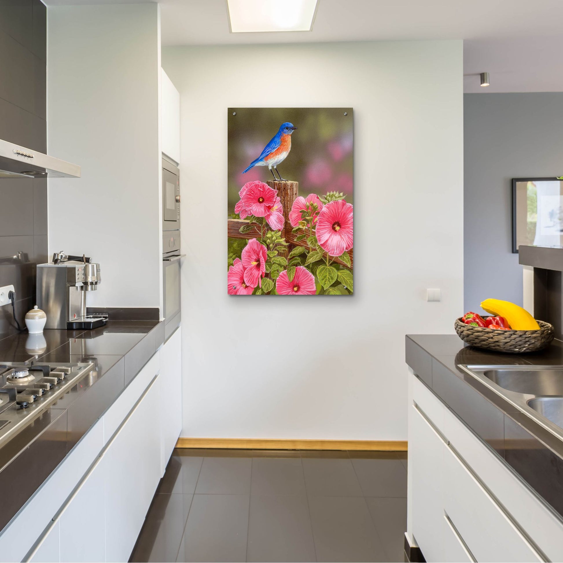 Epic Art 'Bluebird With Hibiscus' by William Vanderdasson, Acrylic Glass Wall Art,24x36