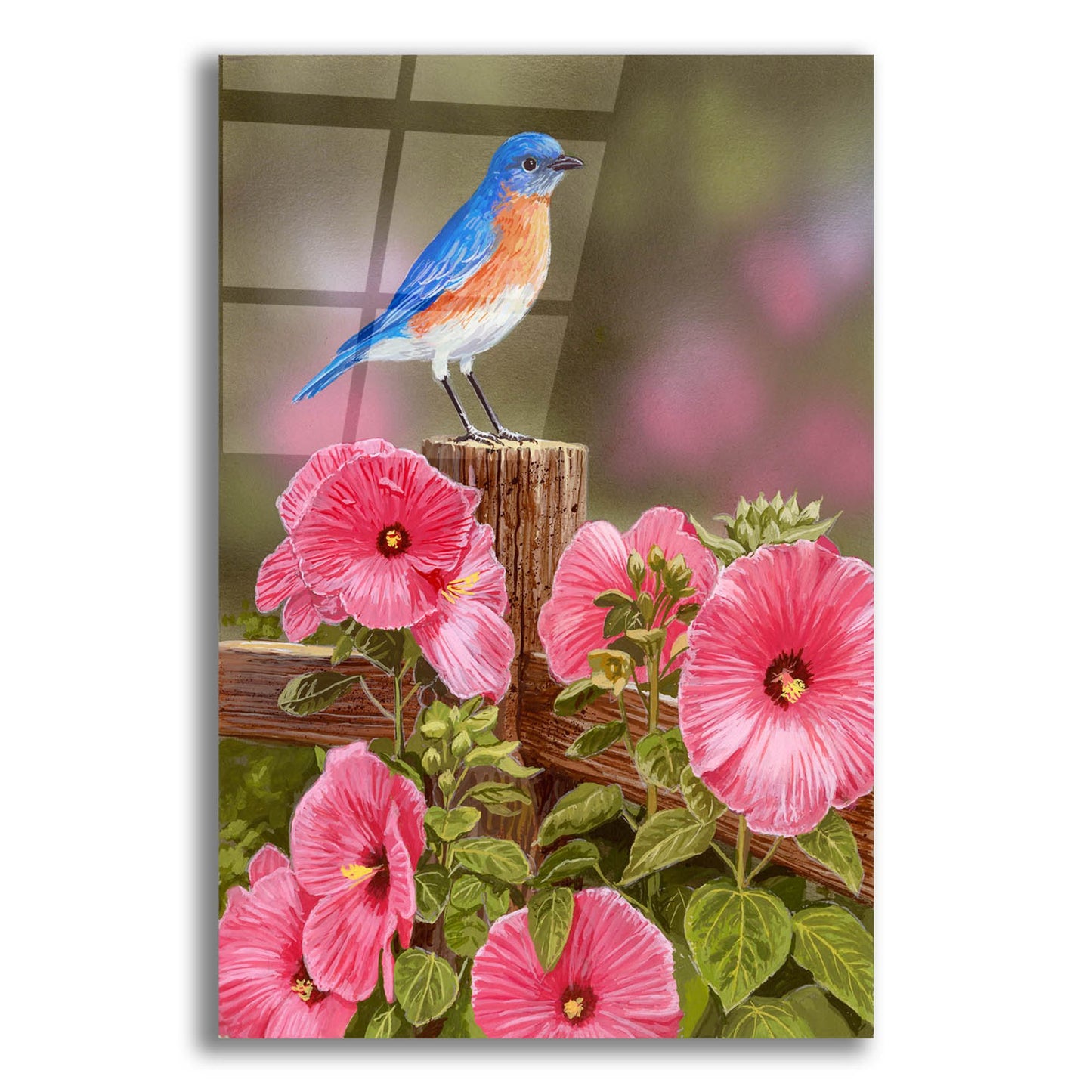 Epic Art 'Bluebird With Hibiscus' by William Vanderdasson, Acrylic Glass Wall Art