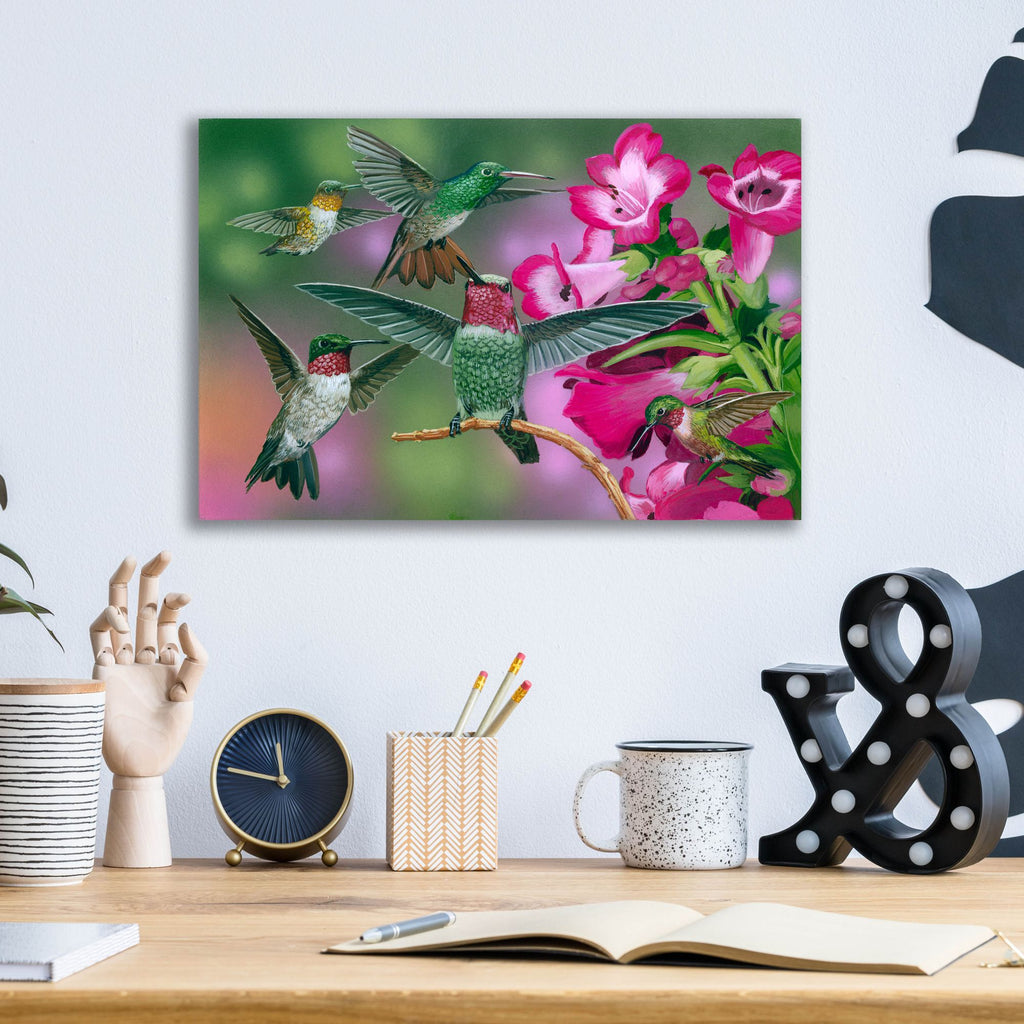 Epic Art 'Up And Away' by William Vanderdasson, Acrylic Glass Wall Art,16x12
