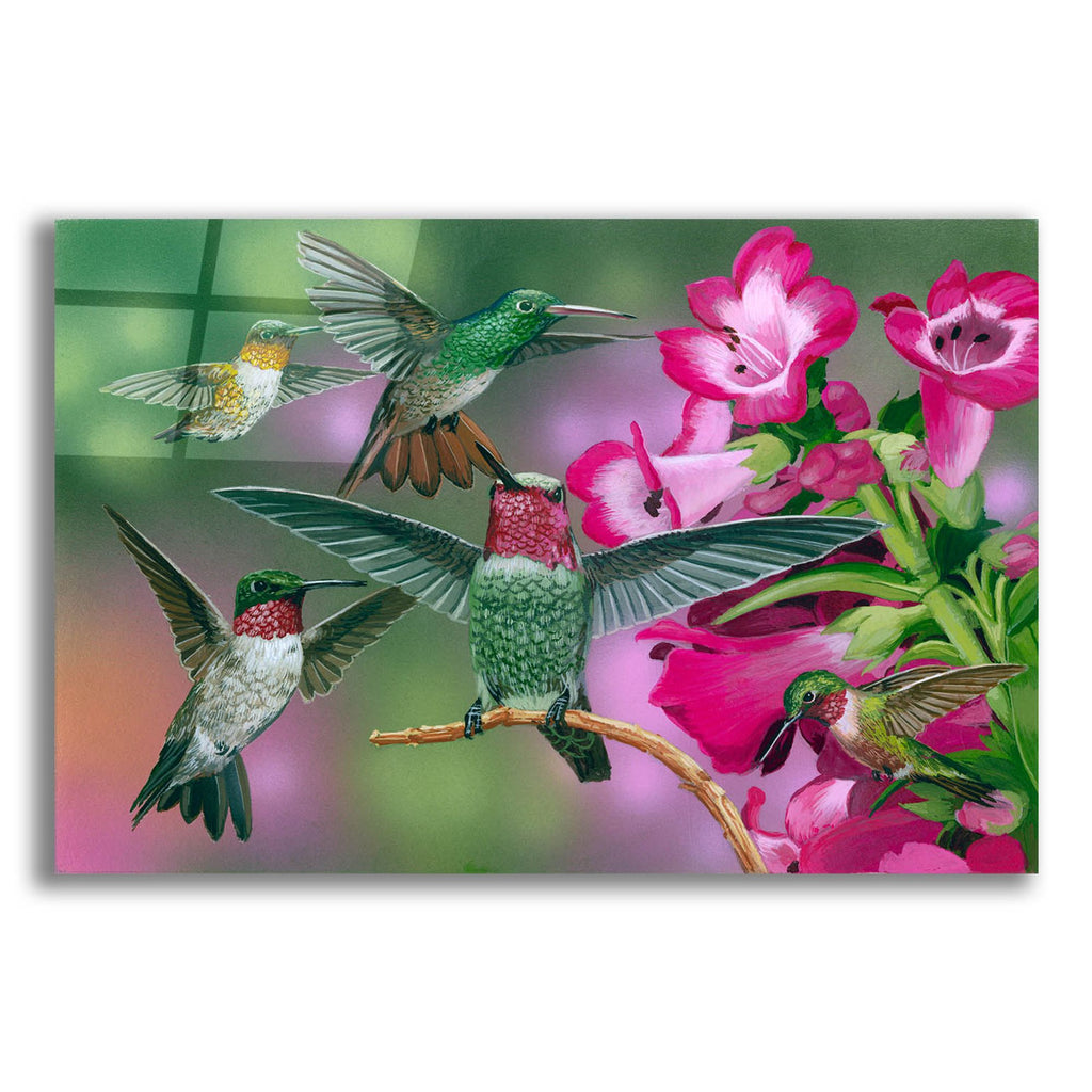 Epic Art 'Up And Away' by William Vanderdasson, Acrylic Glass Wall Art