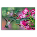 Epic Art 'Up And Away' by William Vanderdasson, Acrylic Glass Wall Art