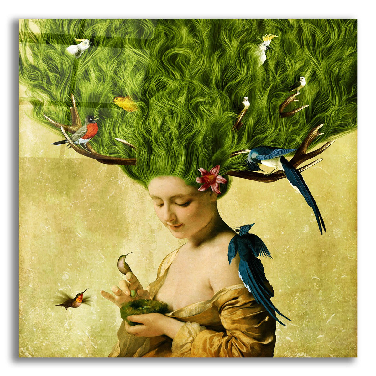 Epic Art 'Safe Haven' by Diogo Verissimo, Acrylic Glass Wall Art