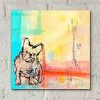 Epic Art 'French Bulldog' by Wyanne, Acrylic Glass Wall Art,12x12