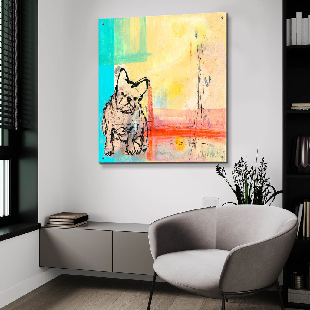 Epic Art 'French Bulldog' by Wyanne, Acrylic Glass Wall Art,36x36