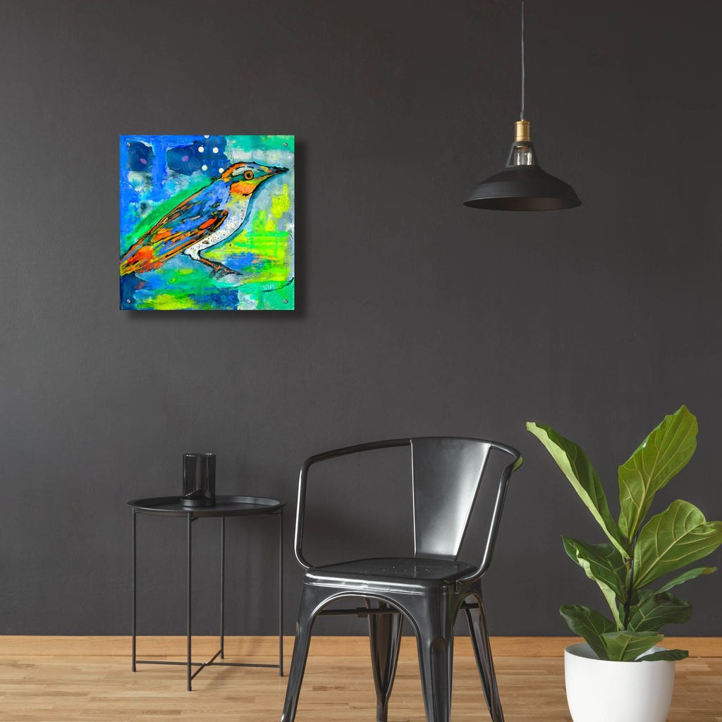 Epic Art 'Magic Bird' by Wyanne, Acrylic Glass Wall Art,24x24