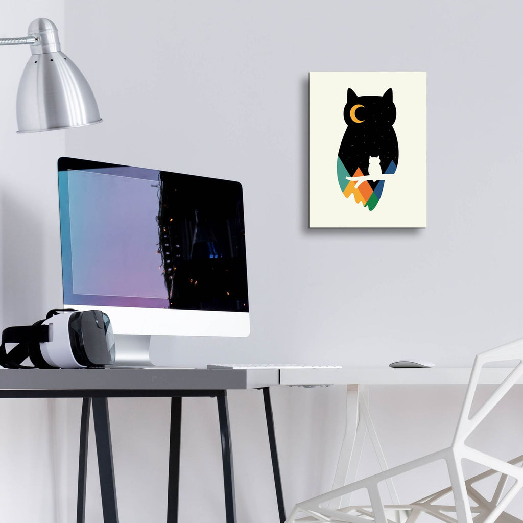 Eye On Owl by Andy Westface - 12x16 acrylic wall art in a room